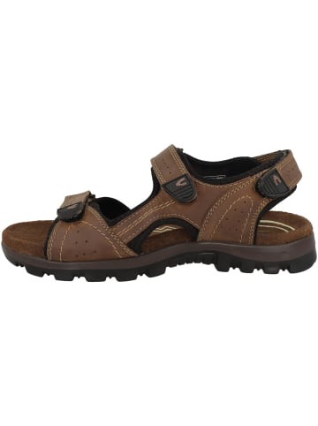Camel Active Sandale 56TWA01 in braun