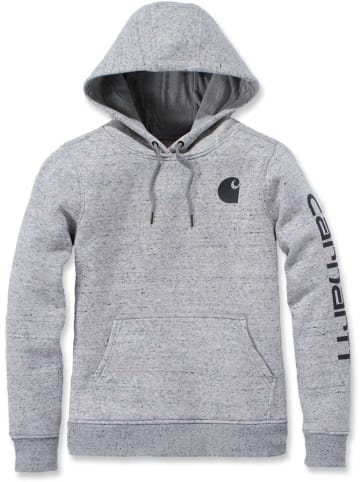 CARHARTT  Hoodie "Clarksburg Graphic 102791" in Grau
