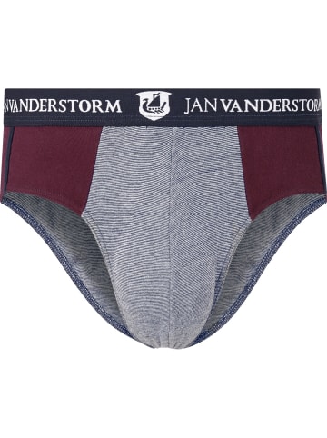 Jan Vanderstorm 2er Pack Slip DIX in dunkelrot blau