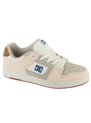 DC DC Shoes Manteca 4 in Grau