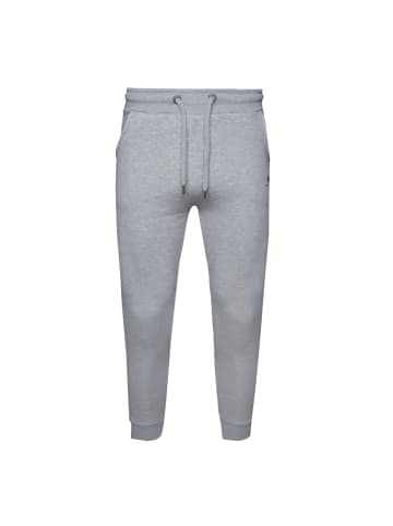 Alpha Industries Jogginghose Basic SL Polar in grau