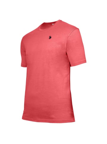 U.S. Polo Assn. T-Shirt 1er Pack in Orange