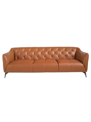 Angel Cerdá Chesterfield-Sofa 6169 in Braun/Stahl – (B)240 x (T)95 x (H)77 cm