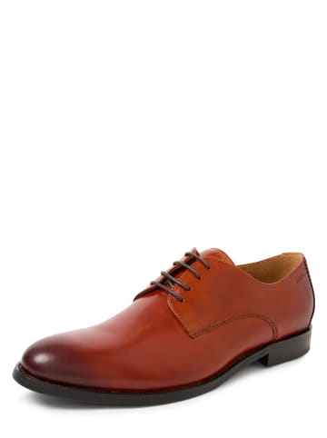 DIGEL Business-Schuhe Sebastian in cognac - 0001