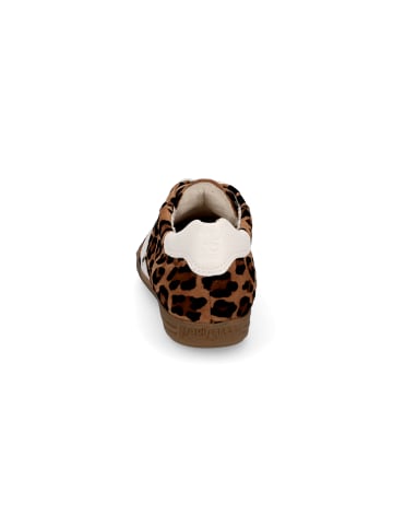 Paul Green Sneaker in Leopard