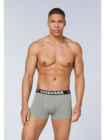 Chiemsee Boxershorts in Grau