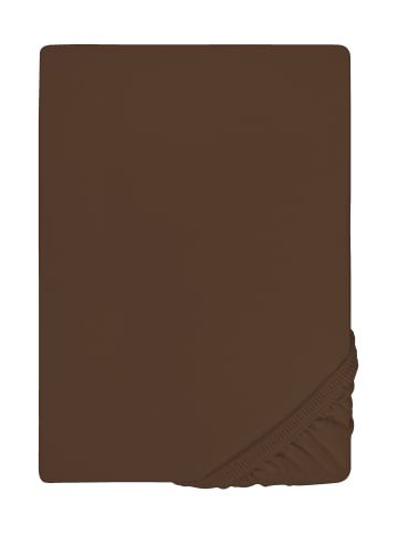 Biberna Spannbetttuch Jersey-Elastic in topas mocca