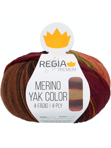 Regia Handstrickgarne Premium Merino Yak Color, 100g in Sun gradient color