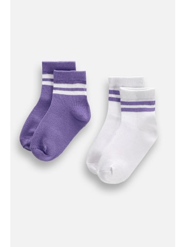Coccodrillo Socken in bunt