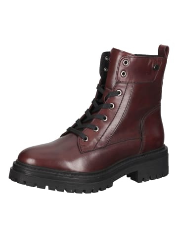 Geox Stiefelette in Bordeaux