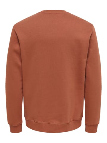 ONLY & SONS Sweatshirt in Sequoia 1