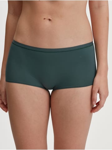 Calida Panty in deep emerald green