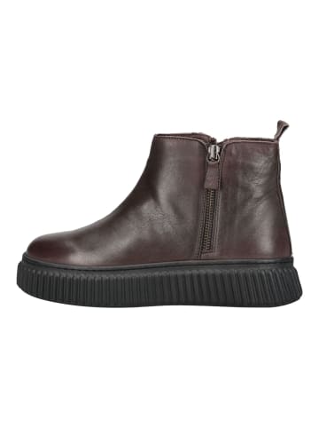 Andrea Conti Stiefelette in Dunkelbraun