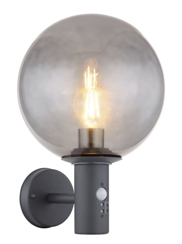 Globo lighting Außenleuchte "AUßENLEUCHTE EDELSTAHL, 1XE27 LED" in black