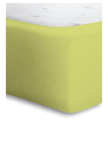 Bassetti Spannbettlaken Boxspring in kiwi