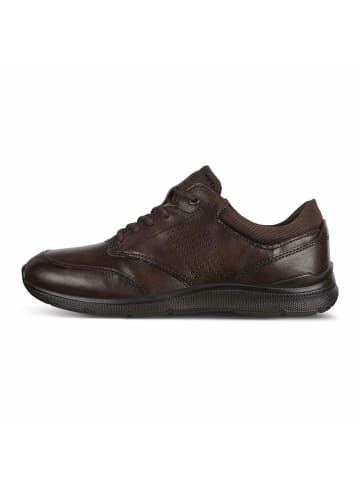 Ecco Sneaker für Herren in braun