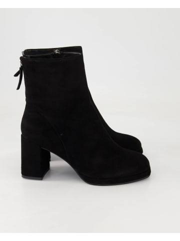 Terry Klassische Stiefeletten in Schwarz