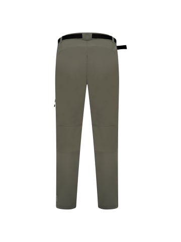 Dare 2b Wanderhose Tuned In in Agave Green