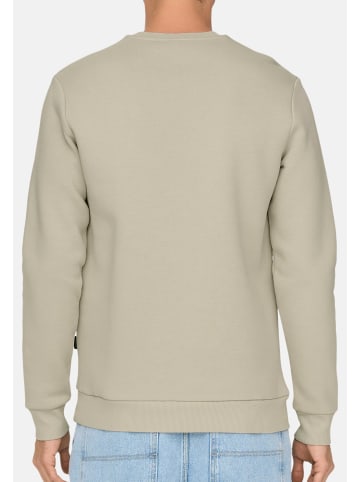 ONLY & SONS Sweatshirt Ceres in Beige