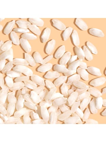 Reishunger 3er Vorteilspaket - Bio Milch Reis, Arborio (3x600g)