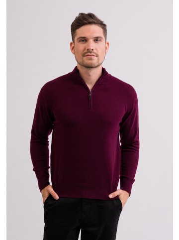 CASH-MERE.CH Stehkragen Pullover in Cranberry Rot