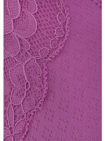 nuance Minimizer-BH in mauve