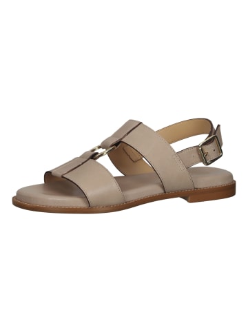 Scapa Sandalen in Taupe