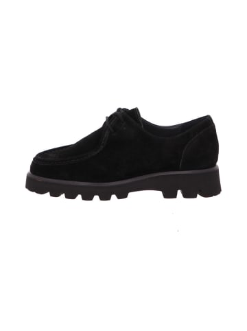 Sioux Schnürschuhe in schwarz