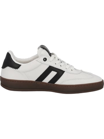 palado Sneakers Low in white/black