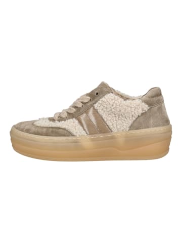 Gabor Sneaker in Beige/Braun