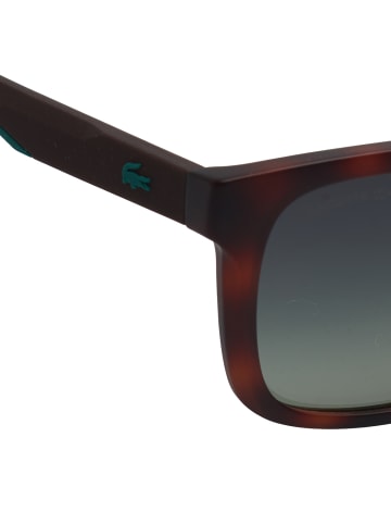 Lacoste Sonnenbrille in Brown