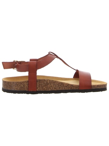 Plakton Sandalen in braun