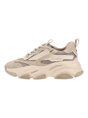 Steve Madden Sneaker POSSESSION-E in Taupe