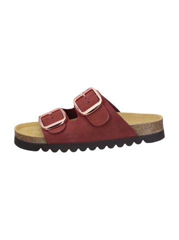 Dr. BRINKMANN Klassische Pantoletten in bordeaux