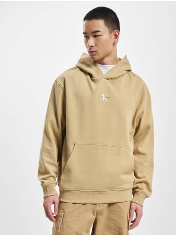 Calvin Klein Kapuzenpullover in travertine