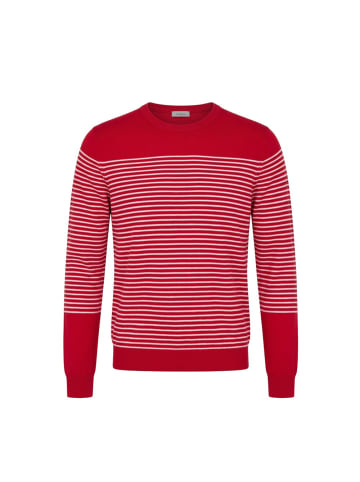 Malo Blau Rot Baumwolle Herren Pullover