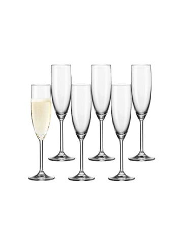 LEONARDO 6er Set Sektgläser Daily 120 ml transparent in transparent