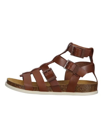 Kickers Sandalen in Braun