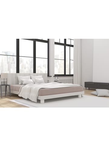 Hahn Haustextilien H.G. Hahn Spannbetttuch Primera Jersey in kiesel