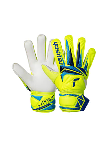 Reusch Torwarthandschuhe Attrakt Solid Junior in 2005 safe yellw/sharp blue