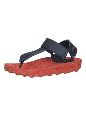 ASPORTUGUESAS Sandalen in Navy