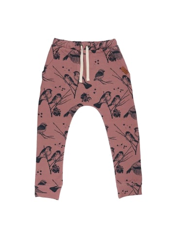 Walkiddy Jogginghose Jogginghose aus Baumwolle (Bio)