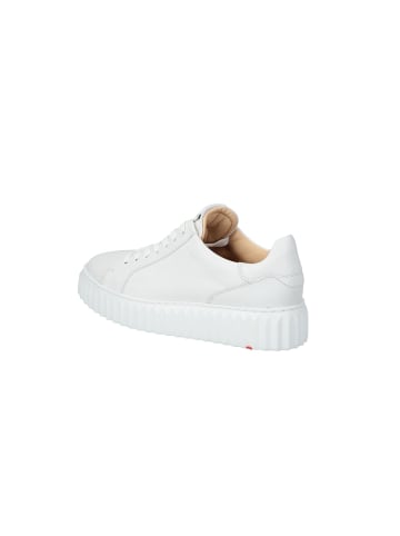 LLOYD Lloyd - Damen Lowtop-Sneaker in OFFWHITE