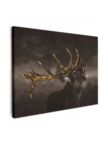 MuchoWow Leinwand bilder Hirsch (BxH)