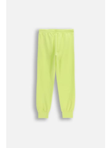 Coccodrillo Jogginghose in limonengrün