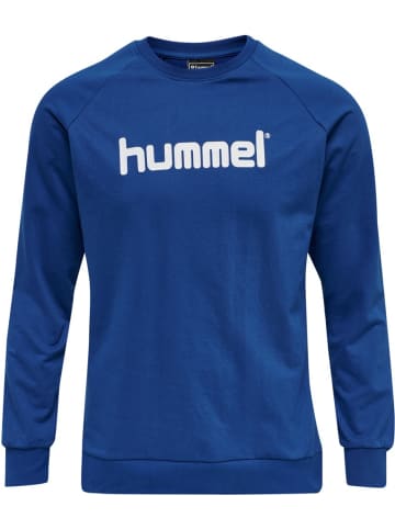 Hummel Sportshirt in Blau