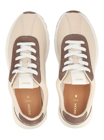 Geox Sneaker METROPOLI in Beige