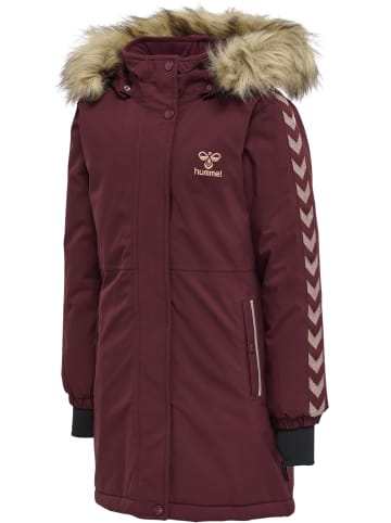 Hummel Mantel Daumenlöcher Hmlleaf Lebensstil Mädchen in WINDSOR WINE