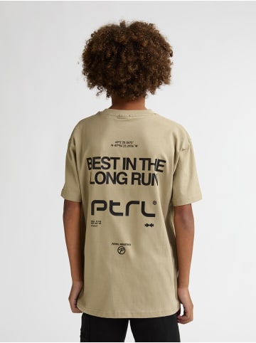 Petrol Industries T-Shirt mit Rückenprint Zorro in Braun