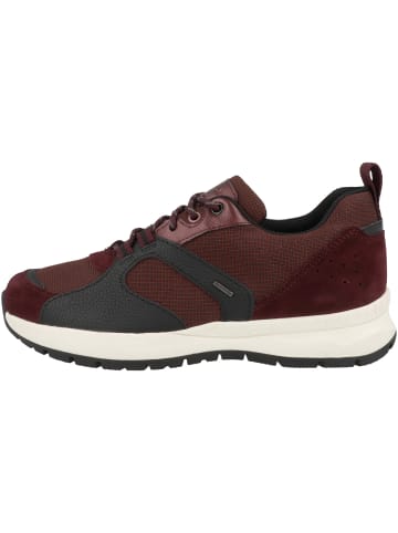 Geox Sneaker low D Braies Abx B in bordeaux